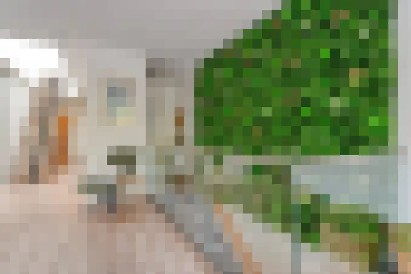 Israel Emanuelplein 1 Hardenberg thumbnail 16