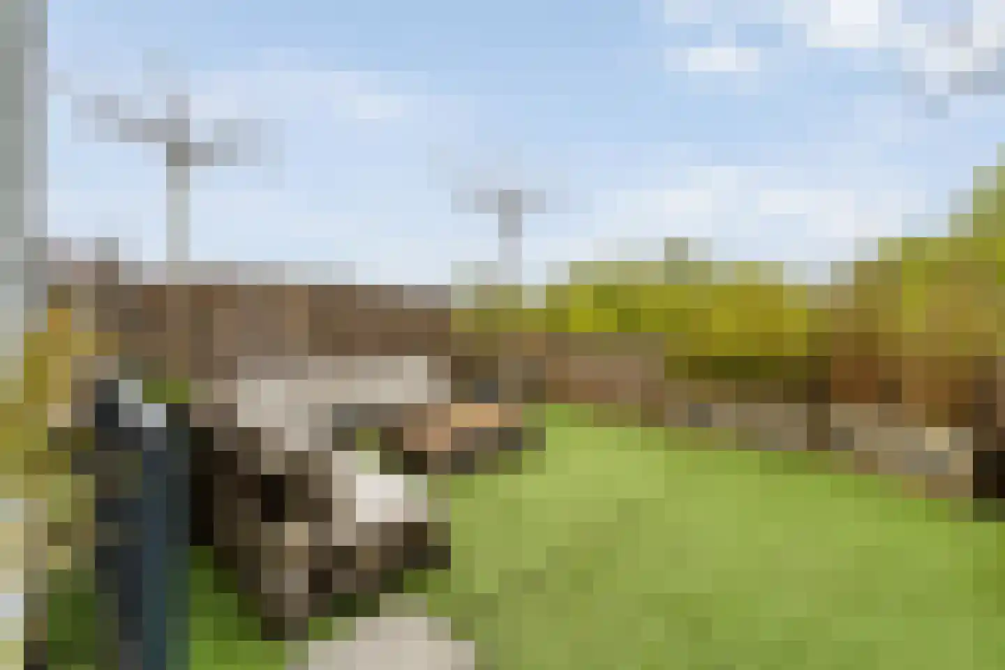 Israel Emanuelplein 1 Hardenberg thumbnail 37
