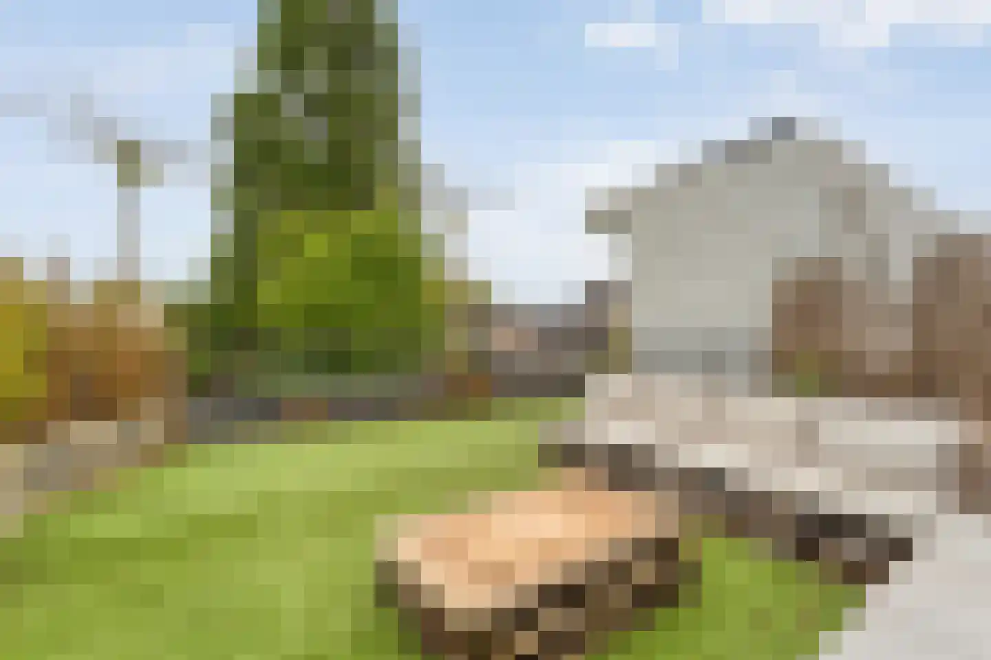 Israel Emanuelplein 1 Hardenberg thumbnail 39