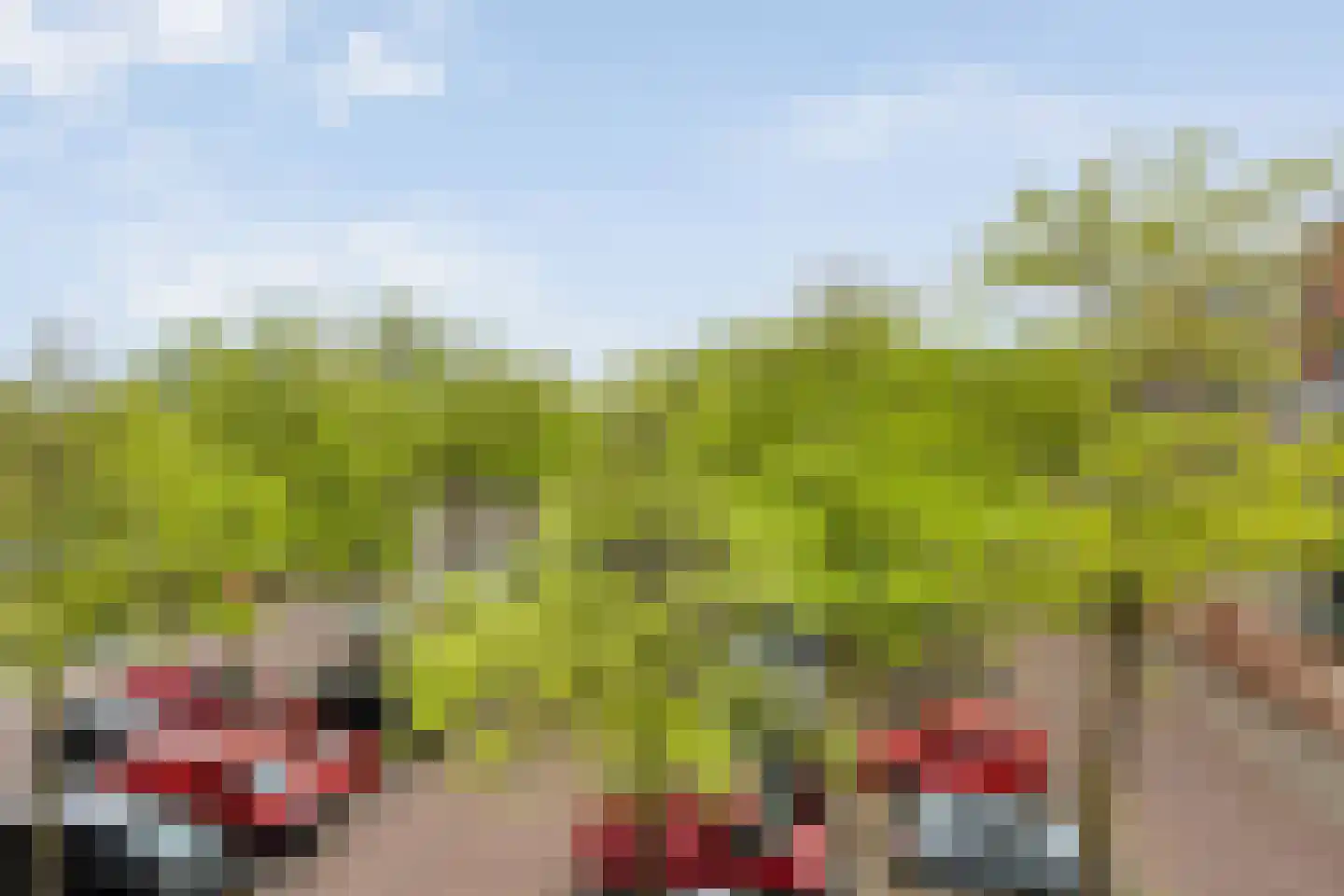 Israel Emanuelplein 1 Hardenberg thumbnail 40