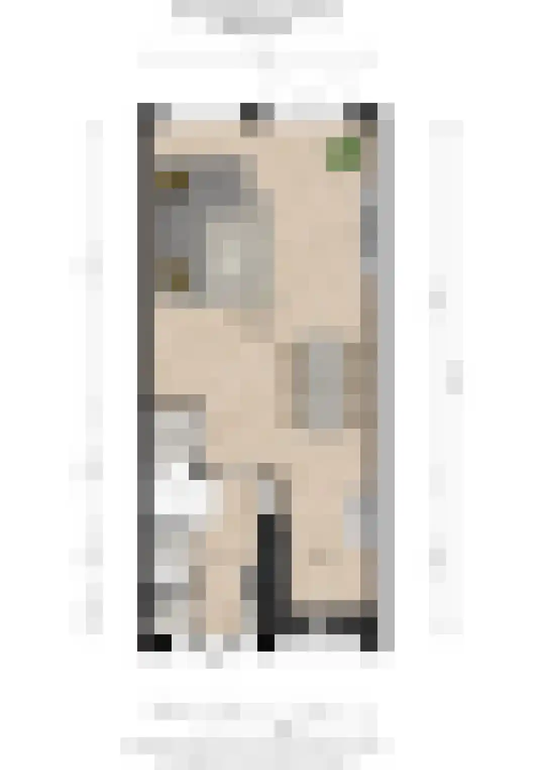 Israël Queridolaan 34 Beverwijk thumbnail 34