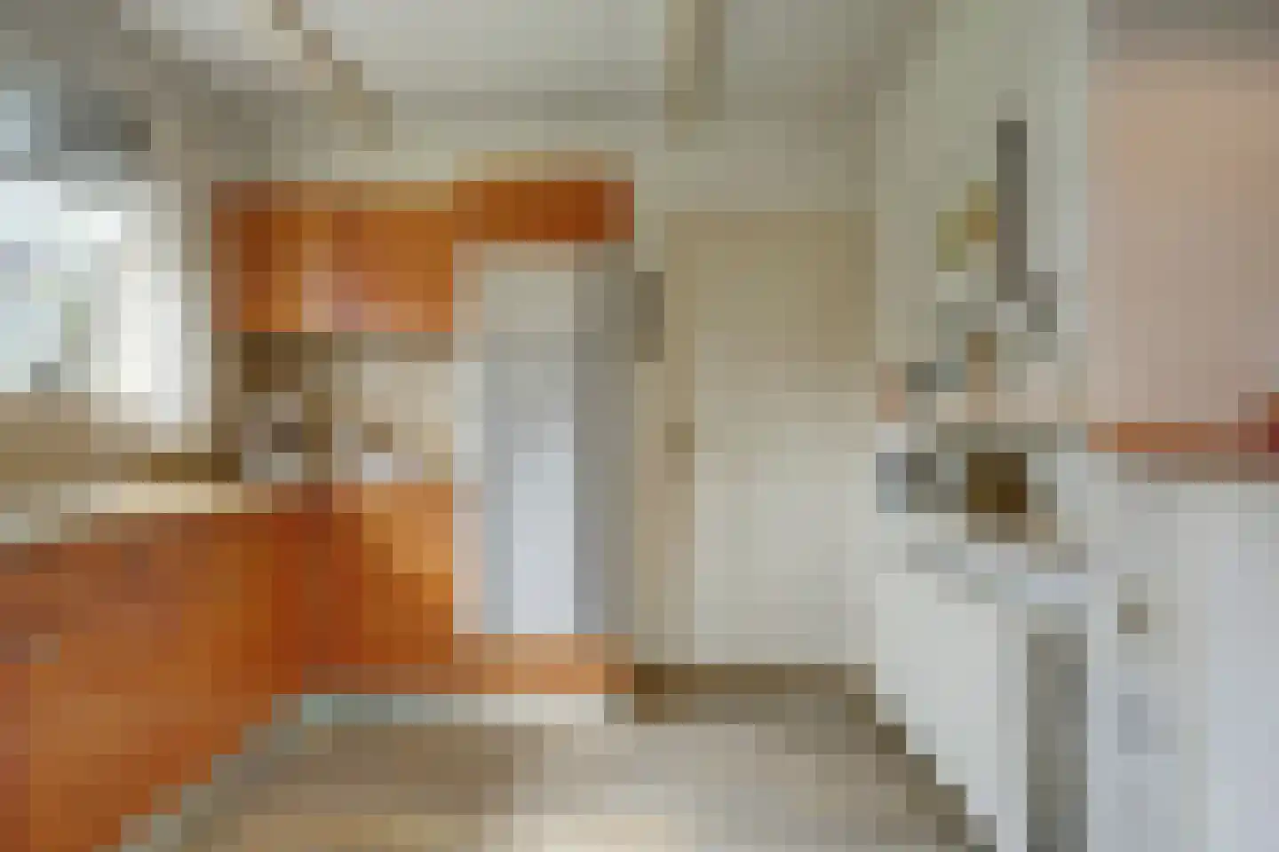 Israëllaan 22 Zuidland thumbnail 11