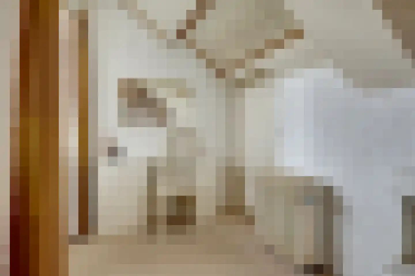 Israëllaan 22 Zuidland thumbnail 18