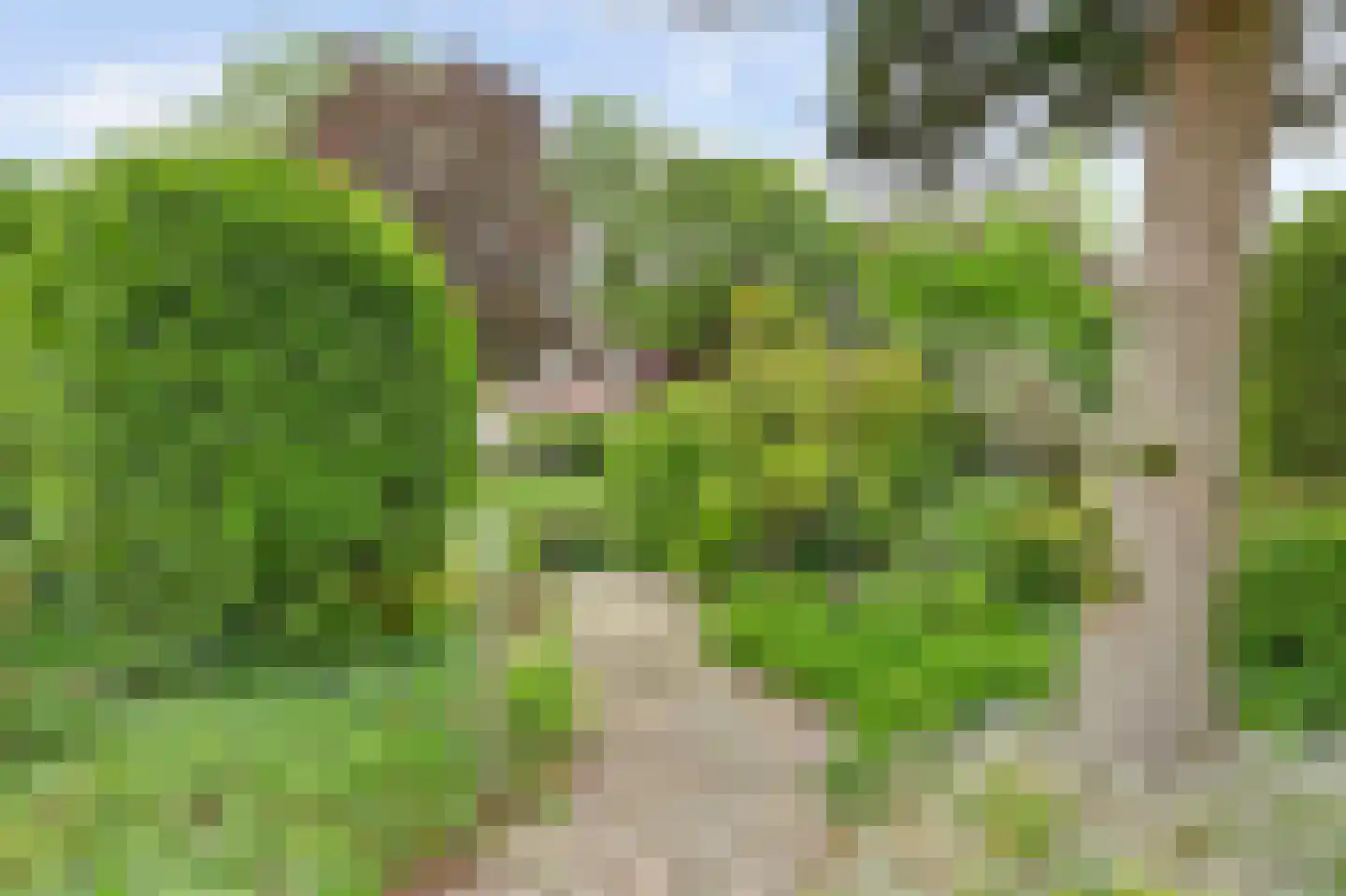 Israëllaan 22 Zuidland thumbnail 30