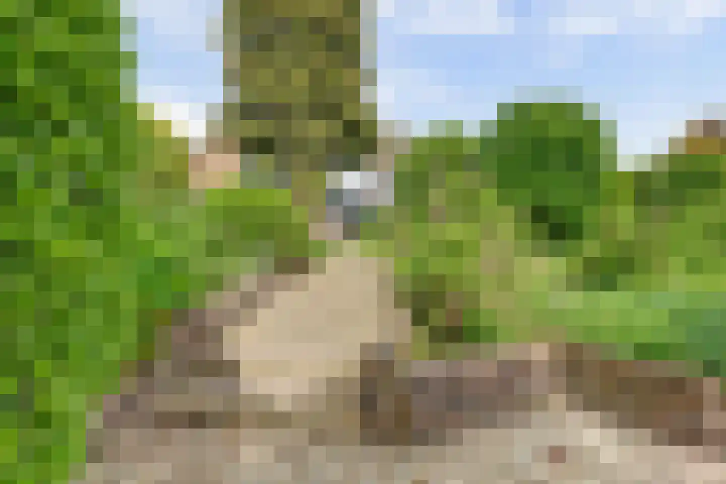 Israëllaan 22 Zuidland thumbnail 31