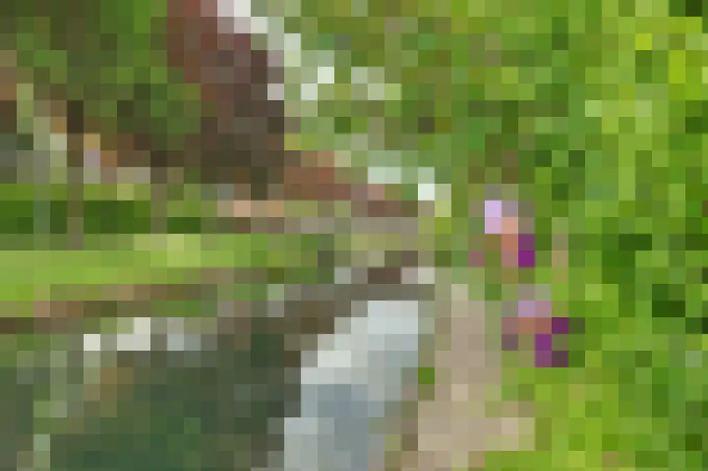 Israëllaan 22 Zuidland thumbnail 33