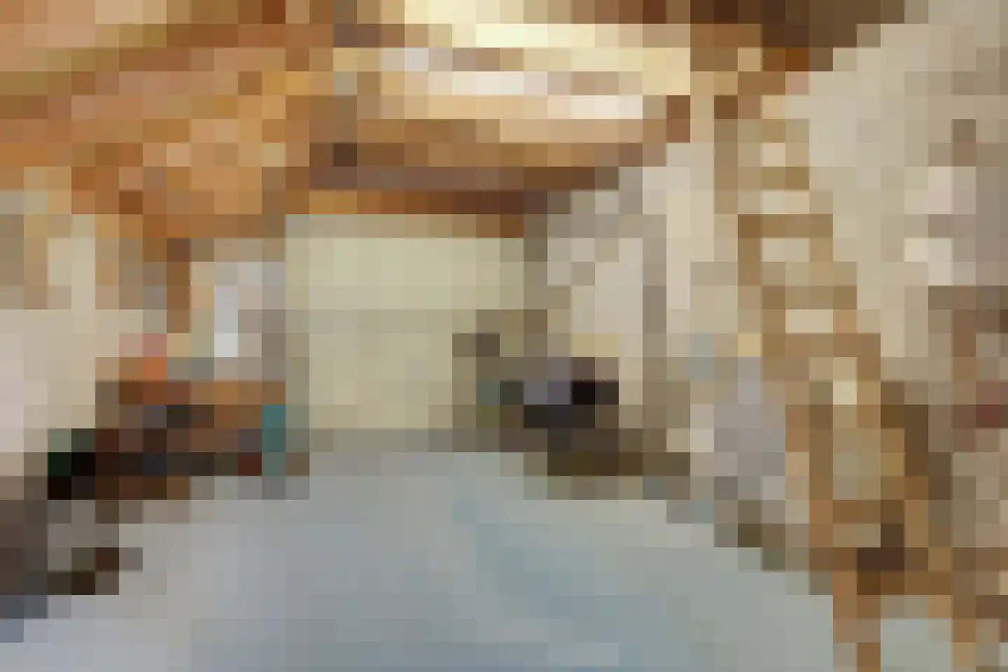 Israëllaan 22 Zuidland thumbnail 36