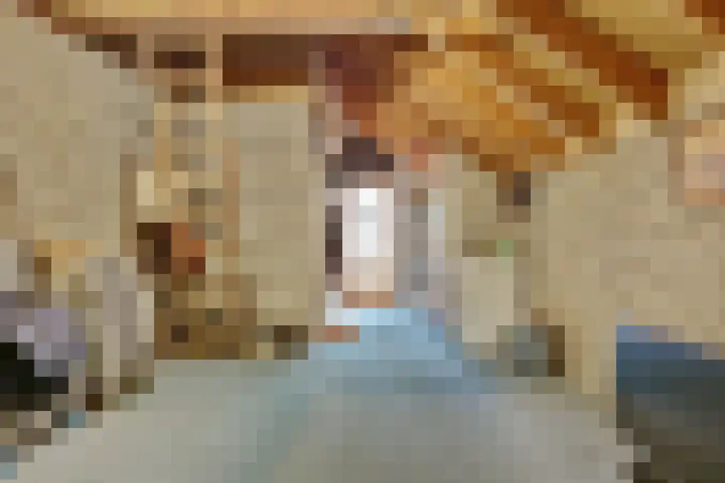 Israëllaan 22 Zuidland thumbnail 37