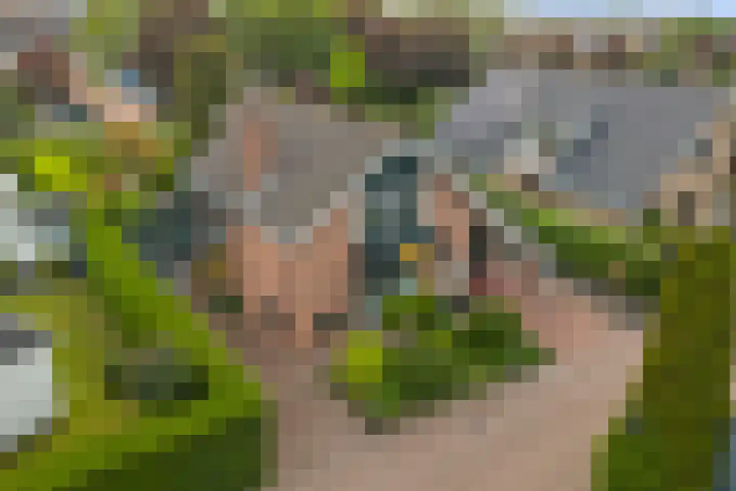 Israëllaan 22 Zuidland thumbnail 38