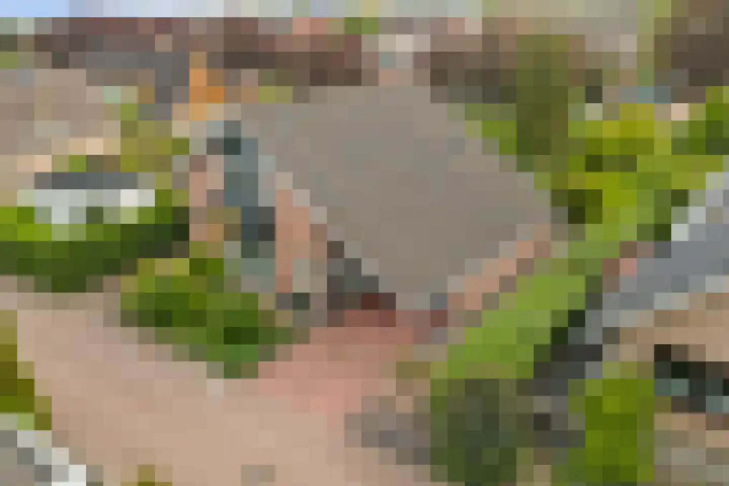 Israëllaan 22 Zuidland thumbnail 39