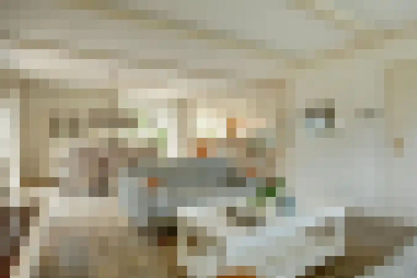 Israëllaan 22 Zuidland thumbnail 4