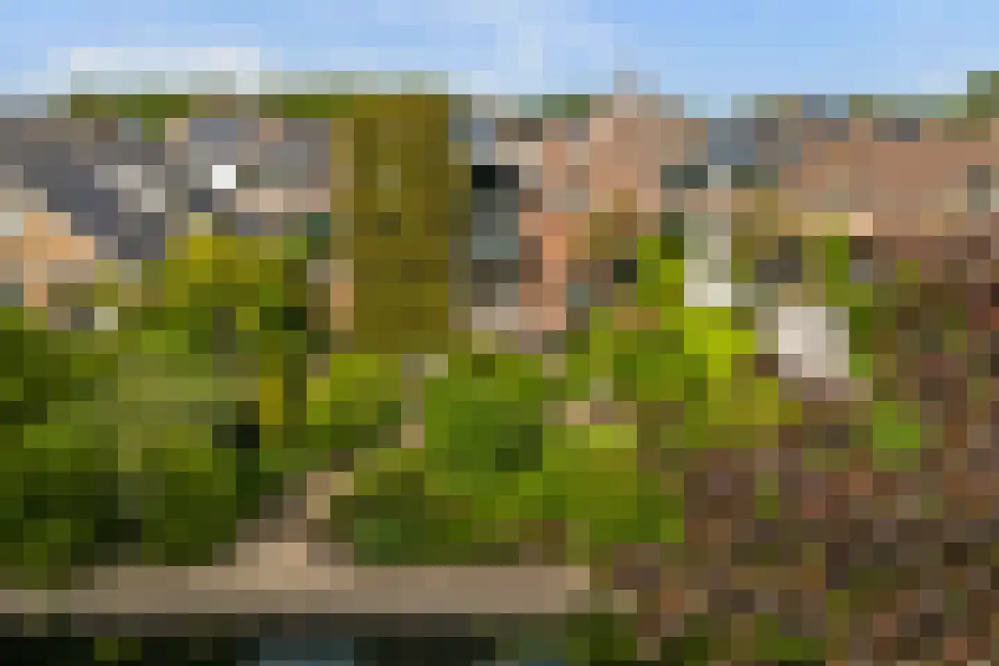 Israëllaan 22 Zuidland thumbnail 44