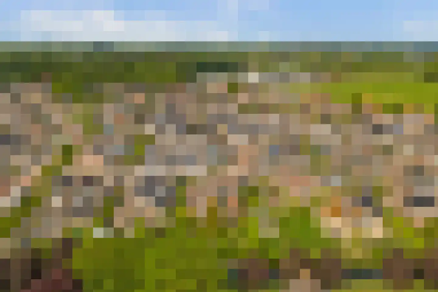 Israëllaan 22 Zuidland thumbnail 46