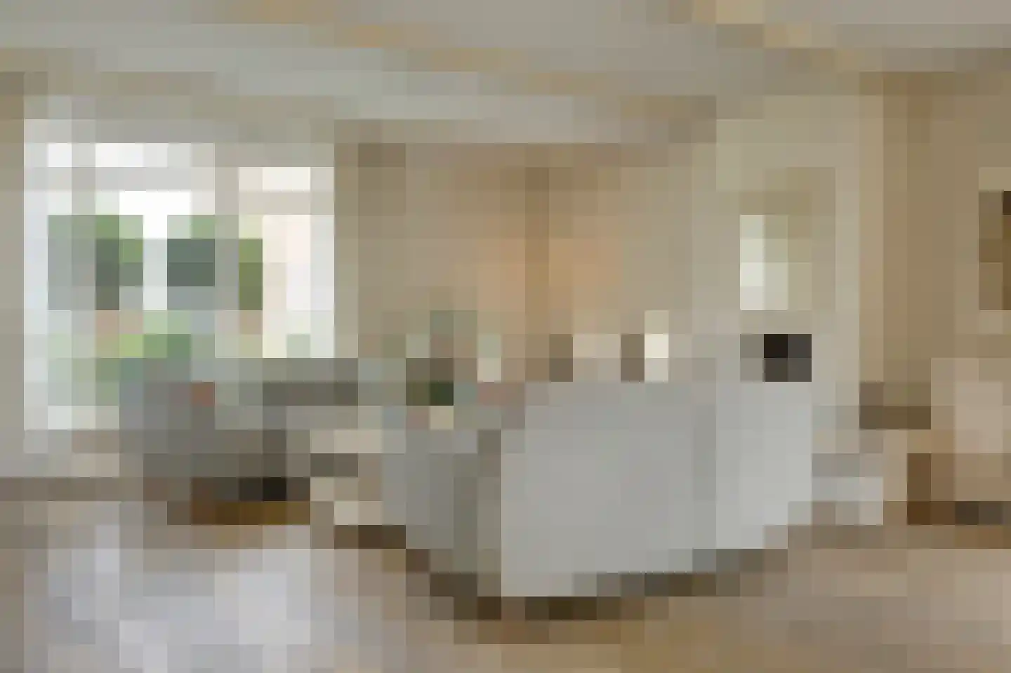 Israëllaan 22 Zuidland thumbnail 5
