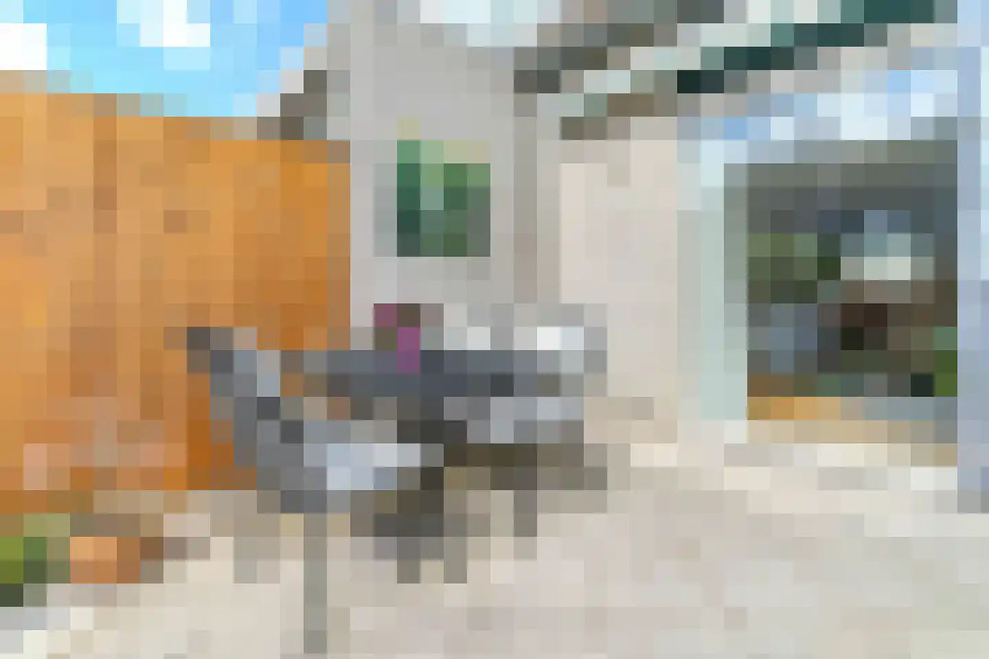Israëllaan 39 Delft thumbnail 21