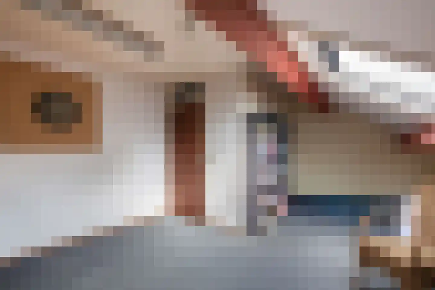 Israëlsdreef 32 Oud-Beijerland thumbnail 29