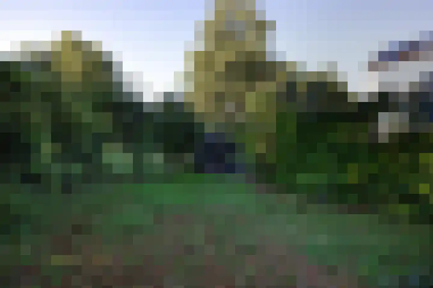 Israëlsdreef 32 Oud-Beijerland thumbnail 36