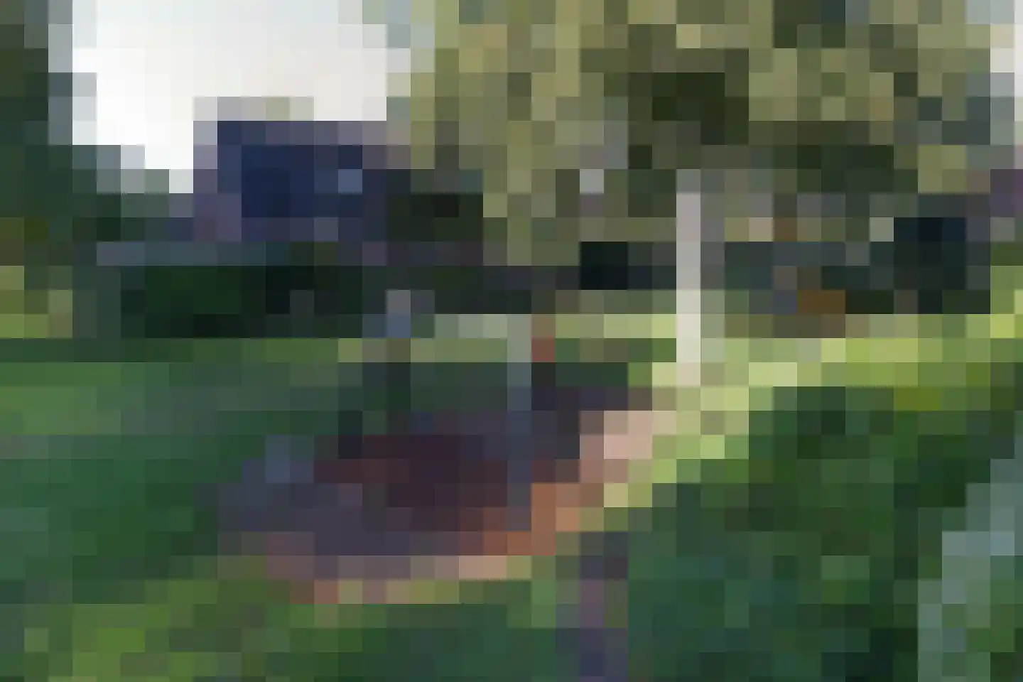 Israëlsdreef 32 Oud-Beijerland thumbnail 37