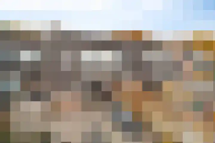 Israëlserf 20 Nunspeet thumbnail 31