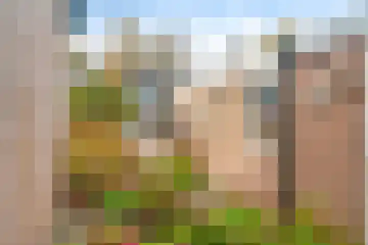 Israëlserf 20 Nunspeet thumbnail 7