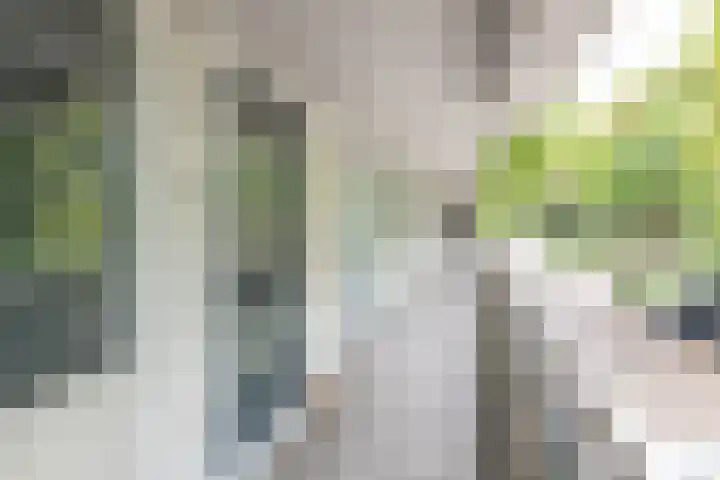Israëlslaan 26 Nieuwegein thumbnail 12