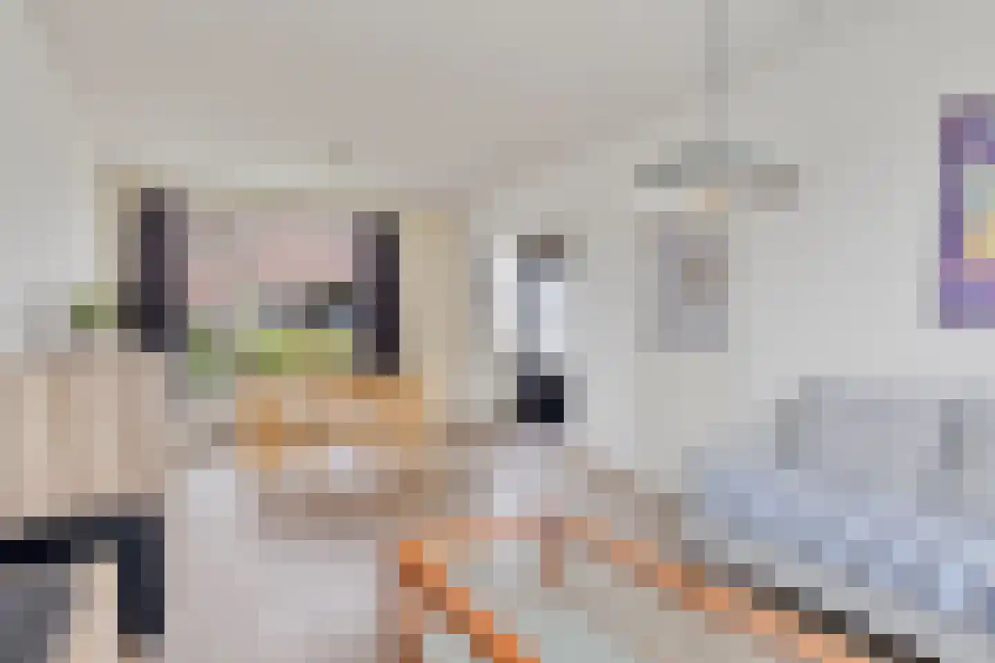Israëlslaan 4 Alkmaar thumbnail 6