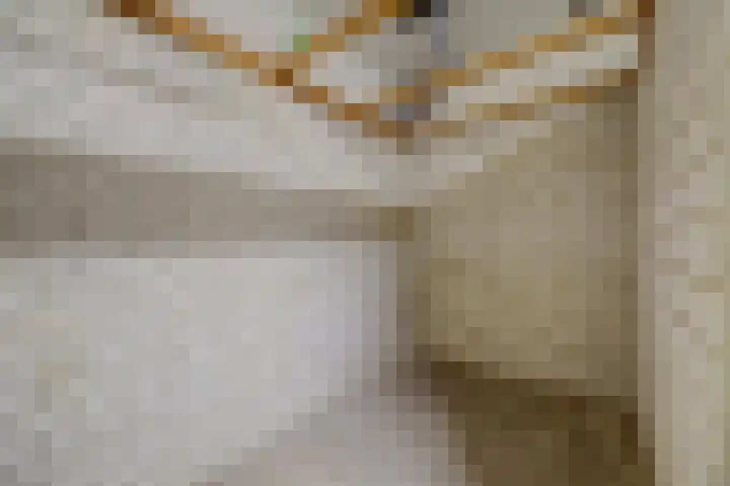 Israëlslaan 5 Nieuwegein thumbnail 31