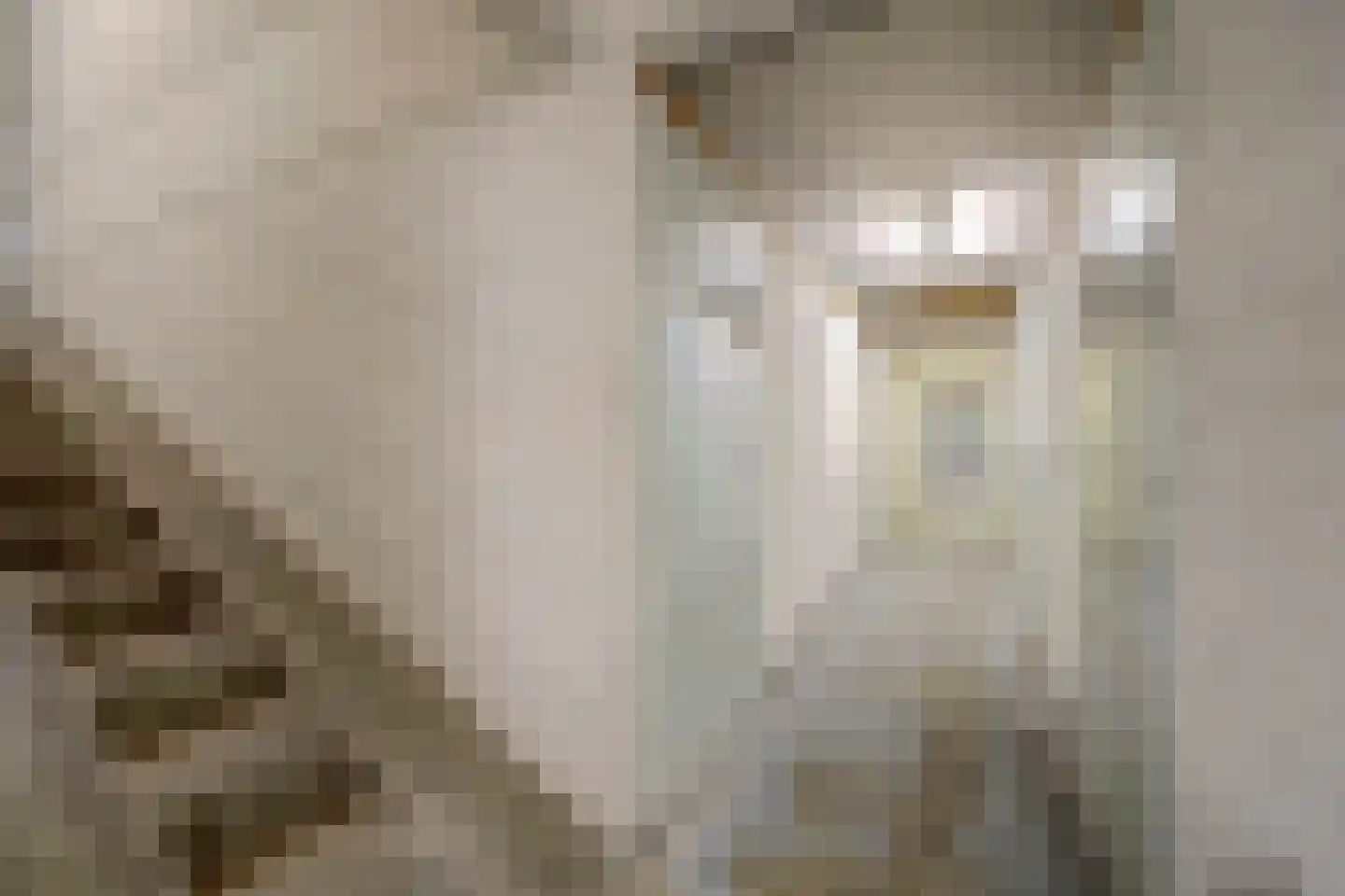 Israëlslaan 5 Nieuwegein thumbnail 32
