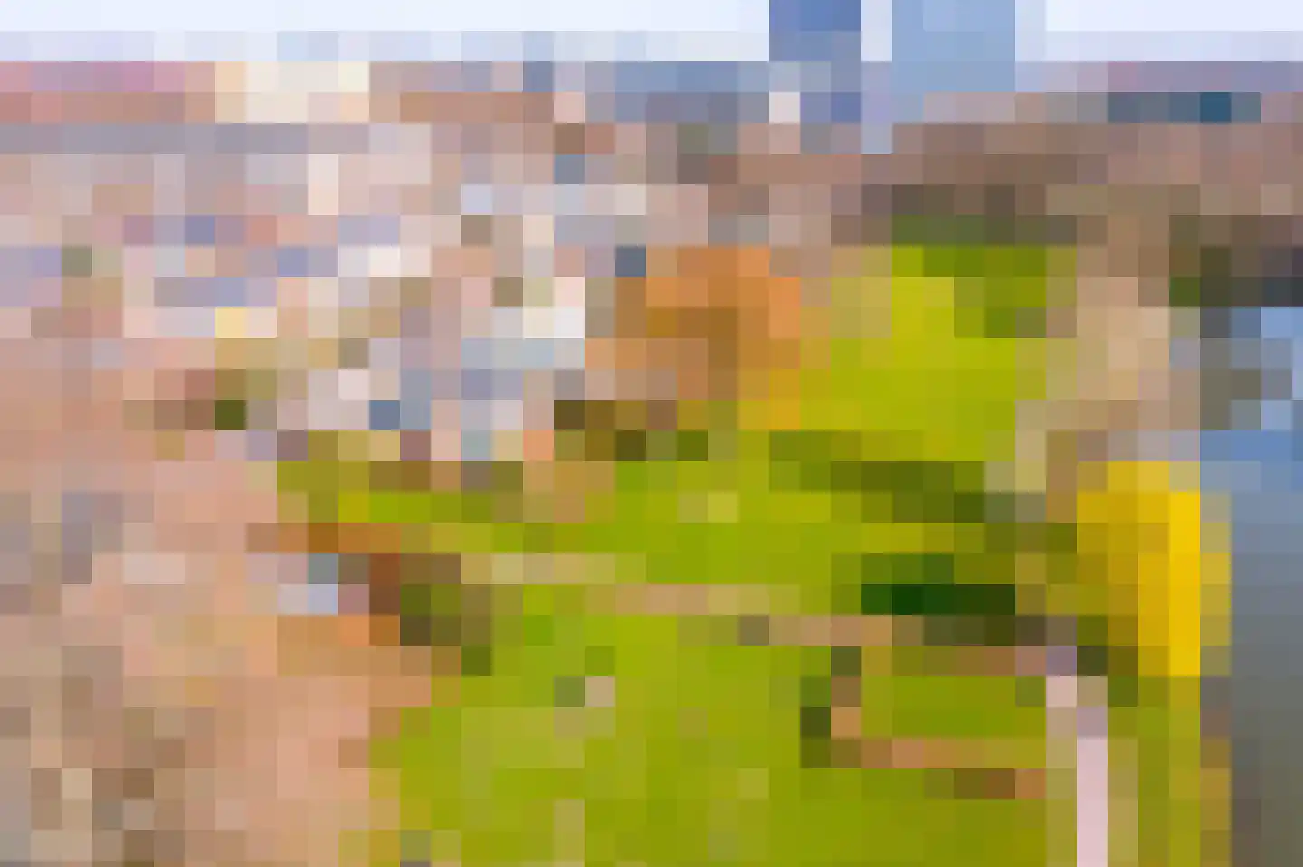 Israëlslaan 8 2 Utrecht thumbnail 41