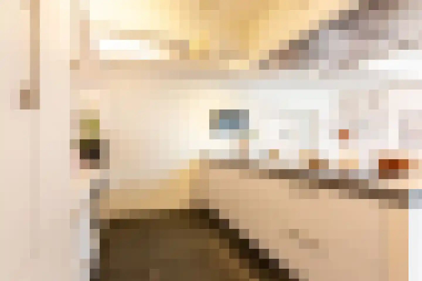 Israelstraat 10 Harderwijk thumbnail 17