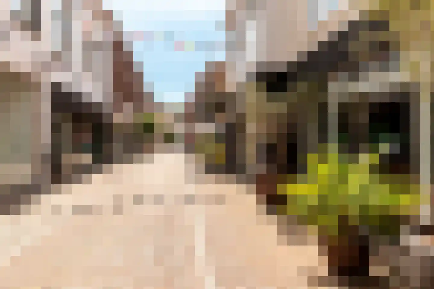 Israelstraat 10 Harderwijk thumbnail 47