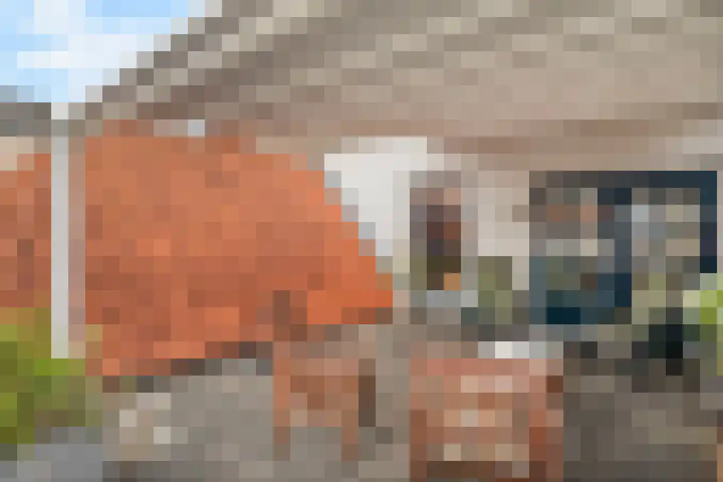 Israelstraat 3 Harderwijk thumbnail 25