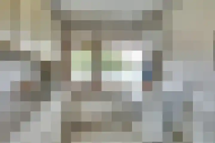 Istriastraat 69 Oudorp thumbnail 14