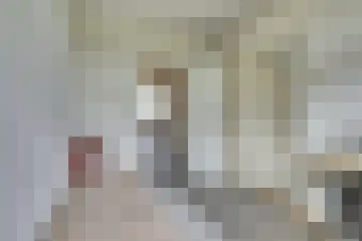 Istriastraat 69 Oudorp thumbnail 16