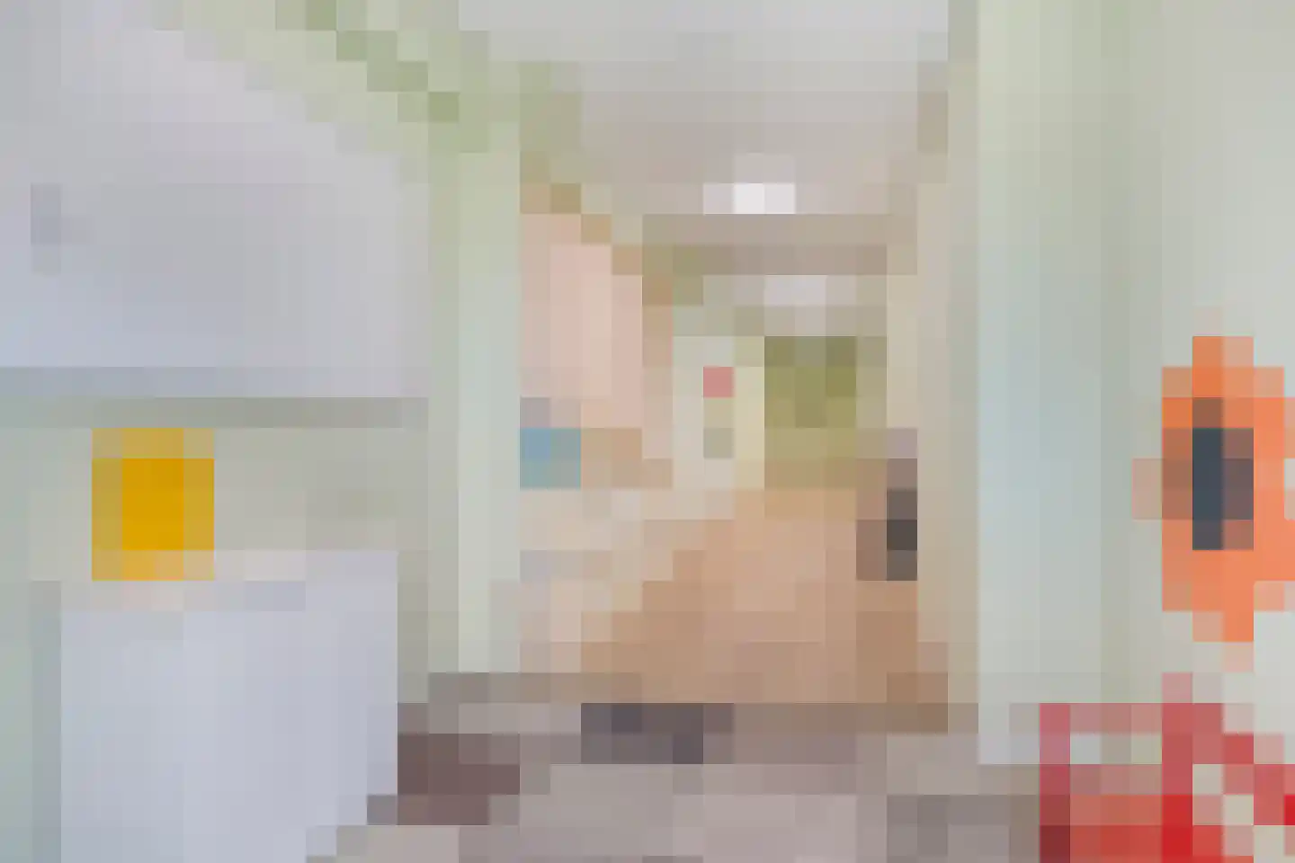 It Achterbosk 19 Stiens thumbnail 18