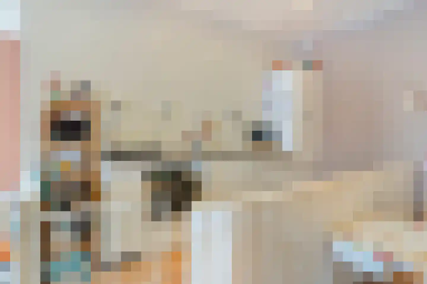 It Achterbosk 19 Stiens thumbnail 23