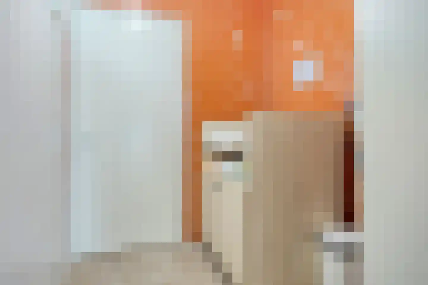 It Achterbosk 19 Stiens thumbnail 24