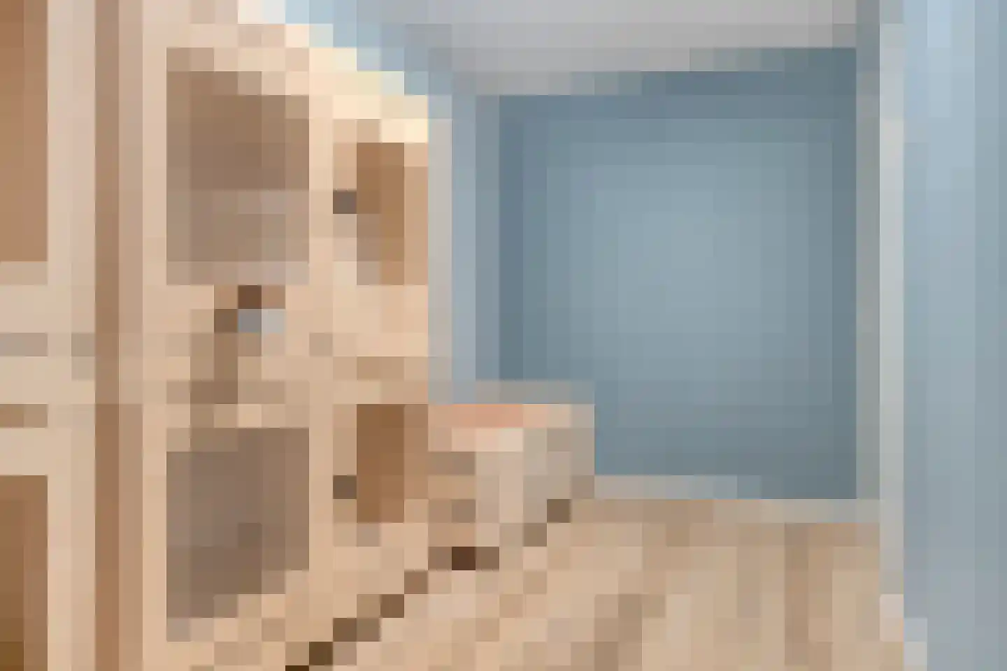 It Achterbosk 19 Stiens thumbnail 26