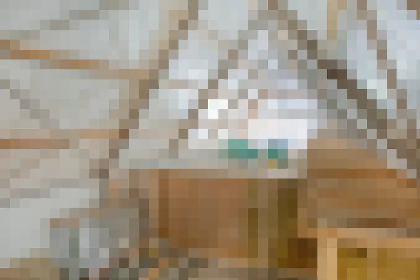 It Achterbosk 19 Stiens thumbnail 30