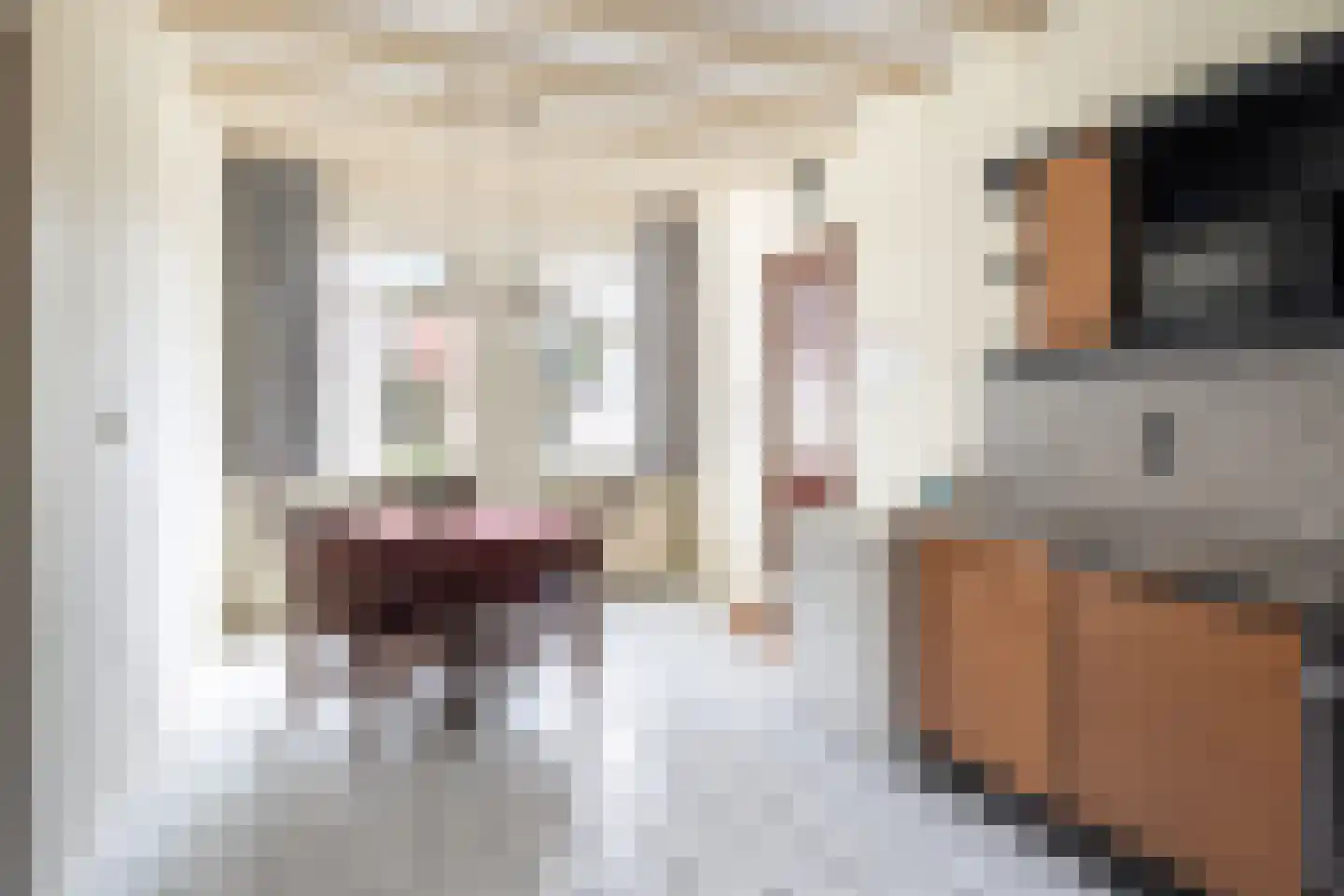 It Achterbosk 2 Stiens thumbnail 10