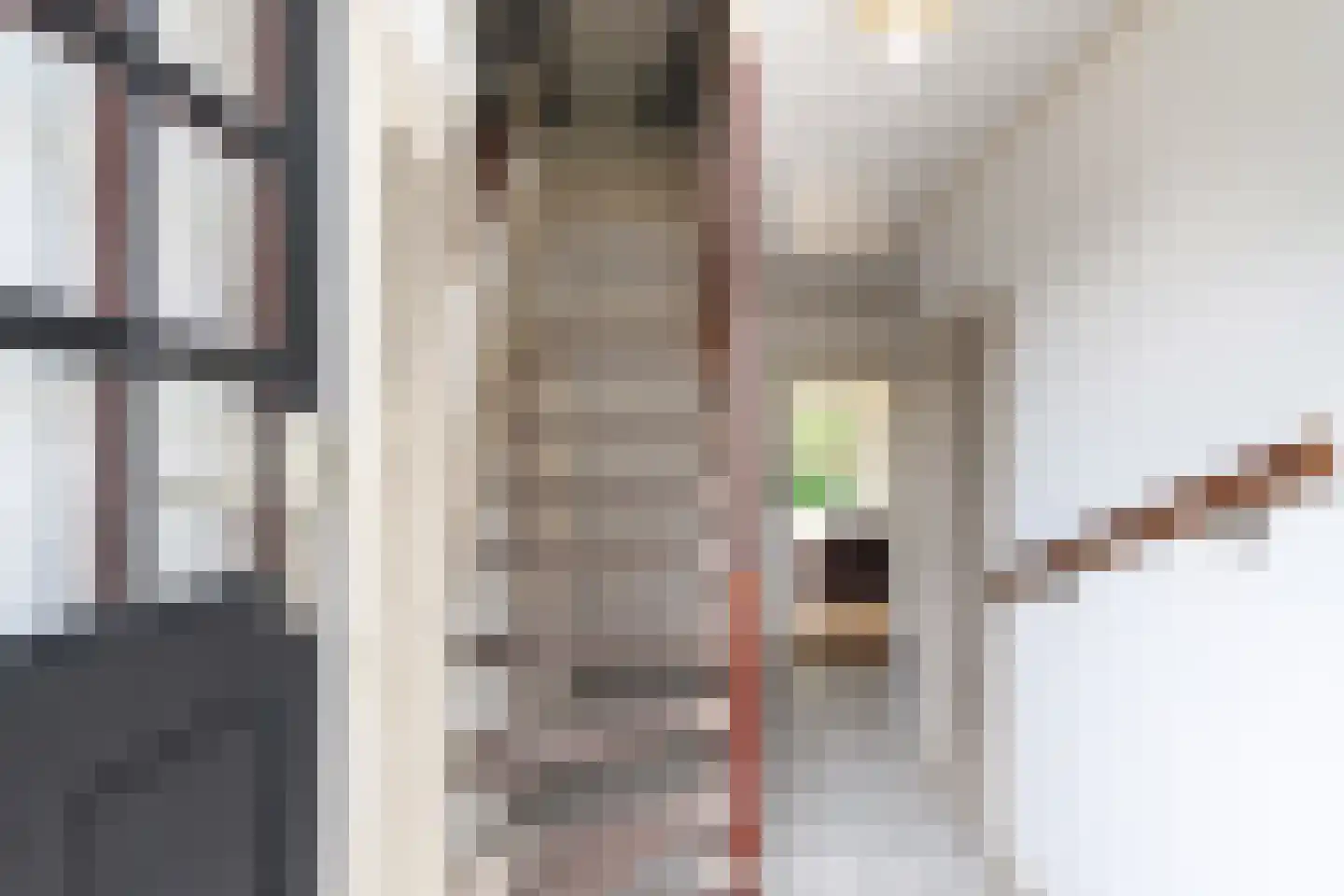 It Achterbosk 2 Stiens thumbnail 13