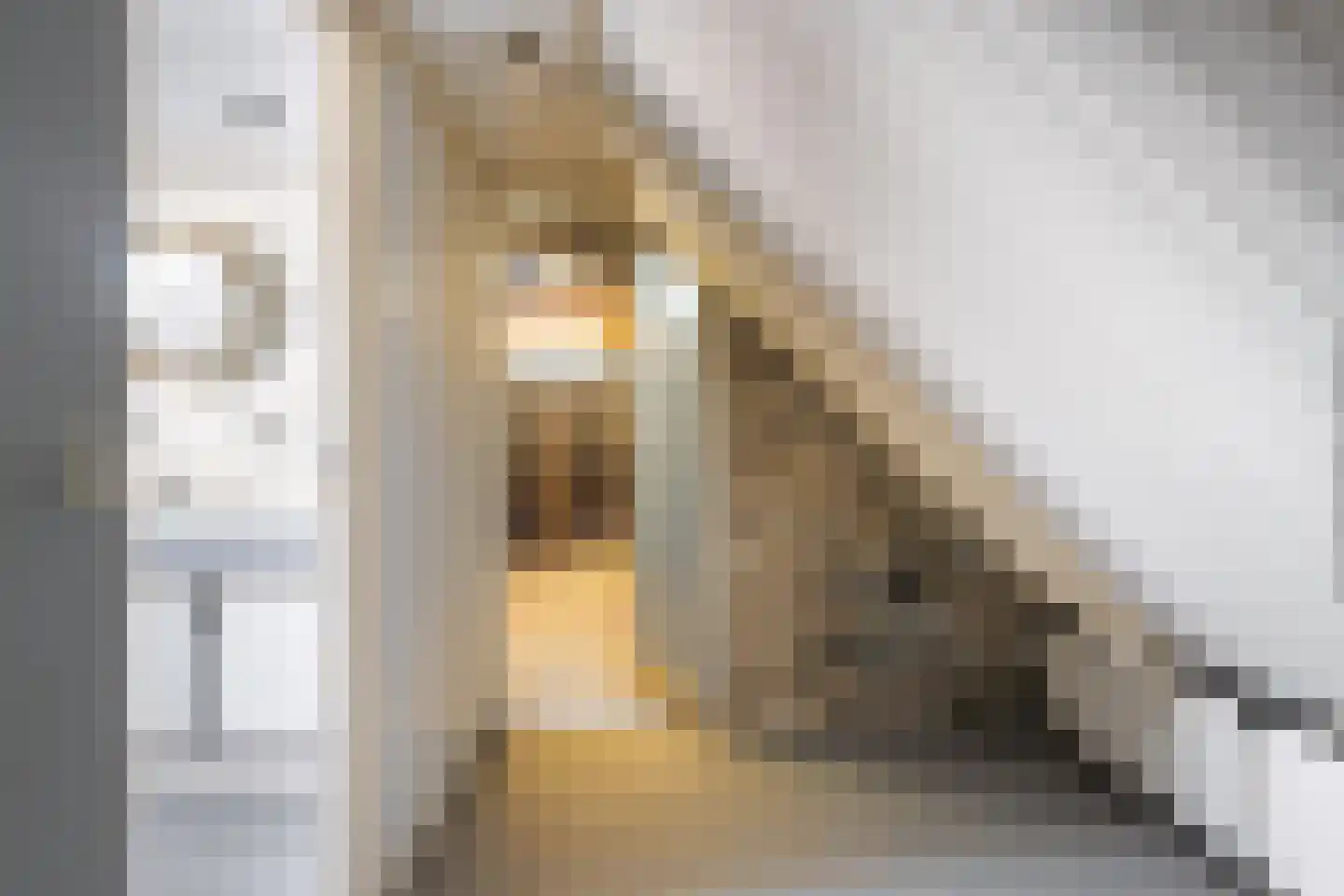 It Achterbosk 2 Stiens thumbnail 20