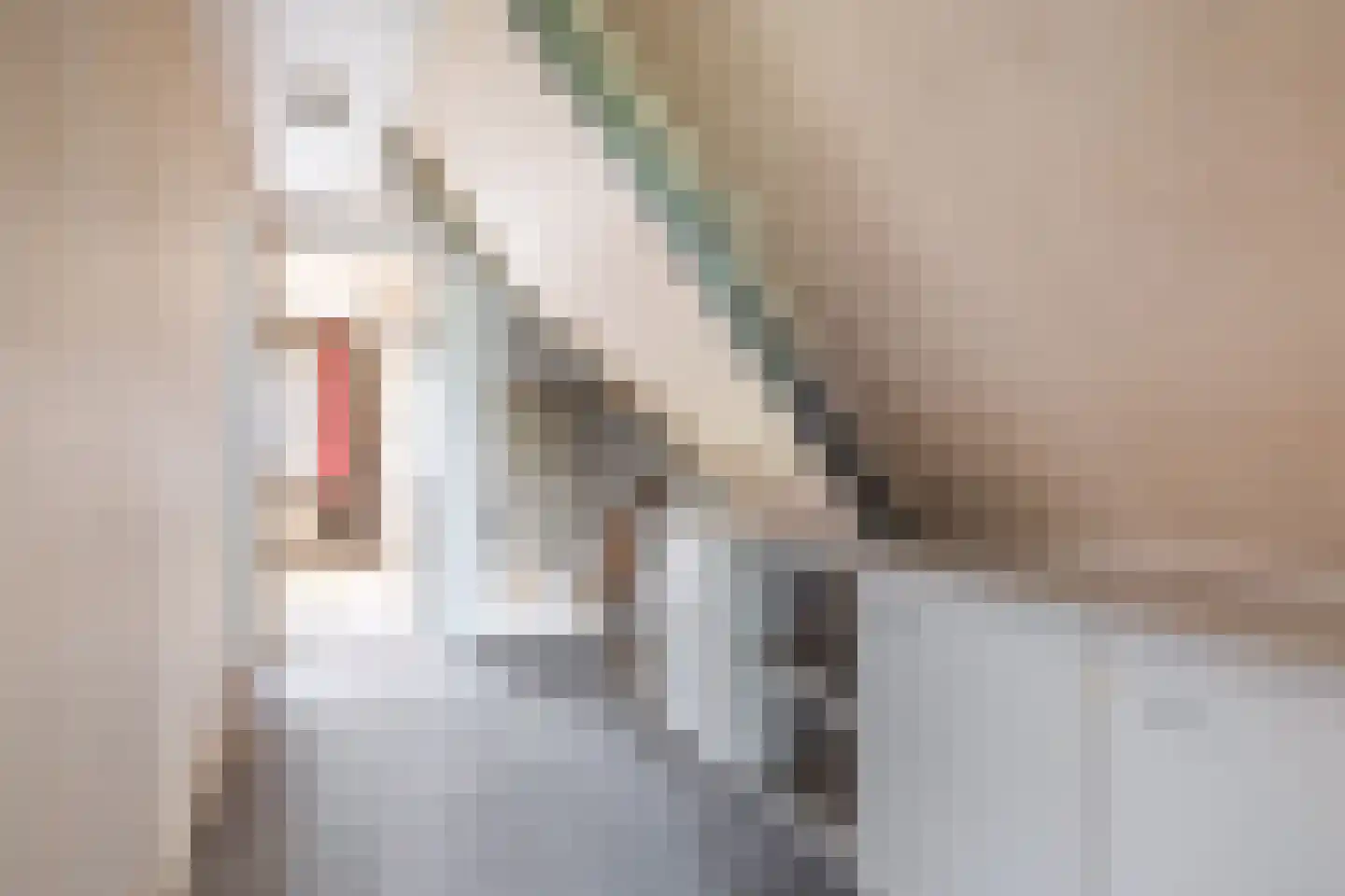It Achterbosk 2 Stiens thumbnail 21