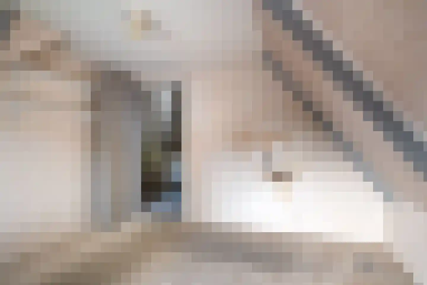 It Achterbosk 2 Stiens thumbnail 25