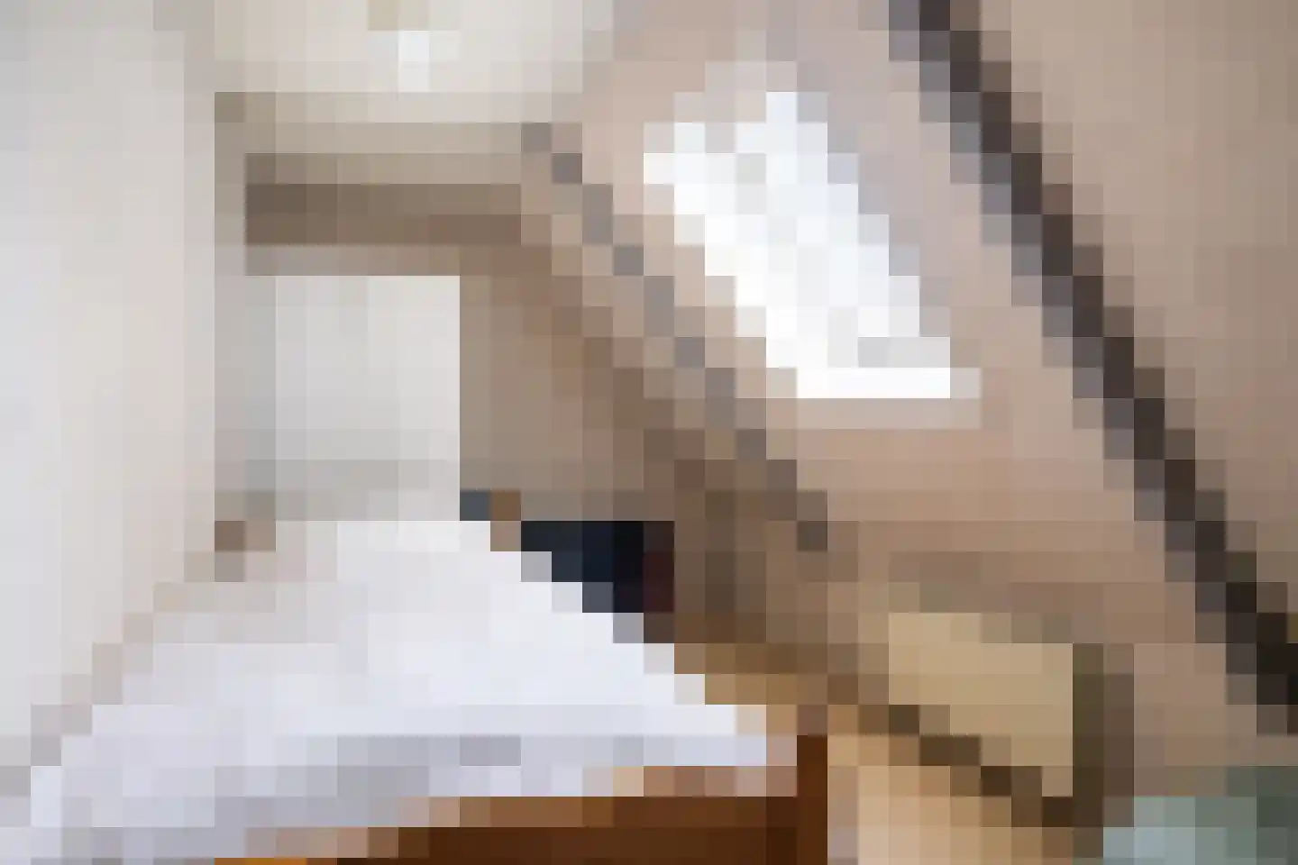 It Achterbosk 2 Stiens thumbnail 26