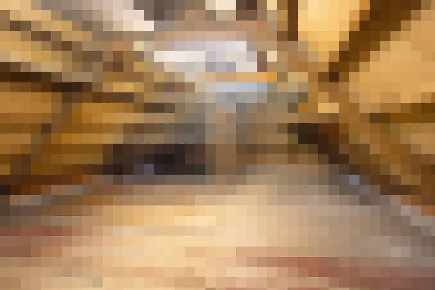 It Achterbosk 2 Stiens thumbnail 32