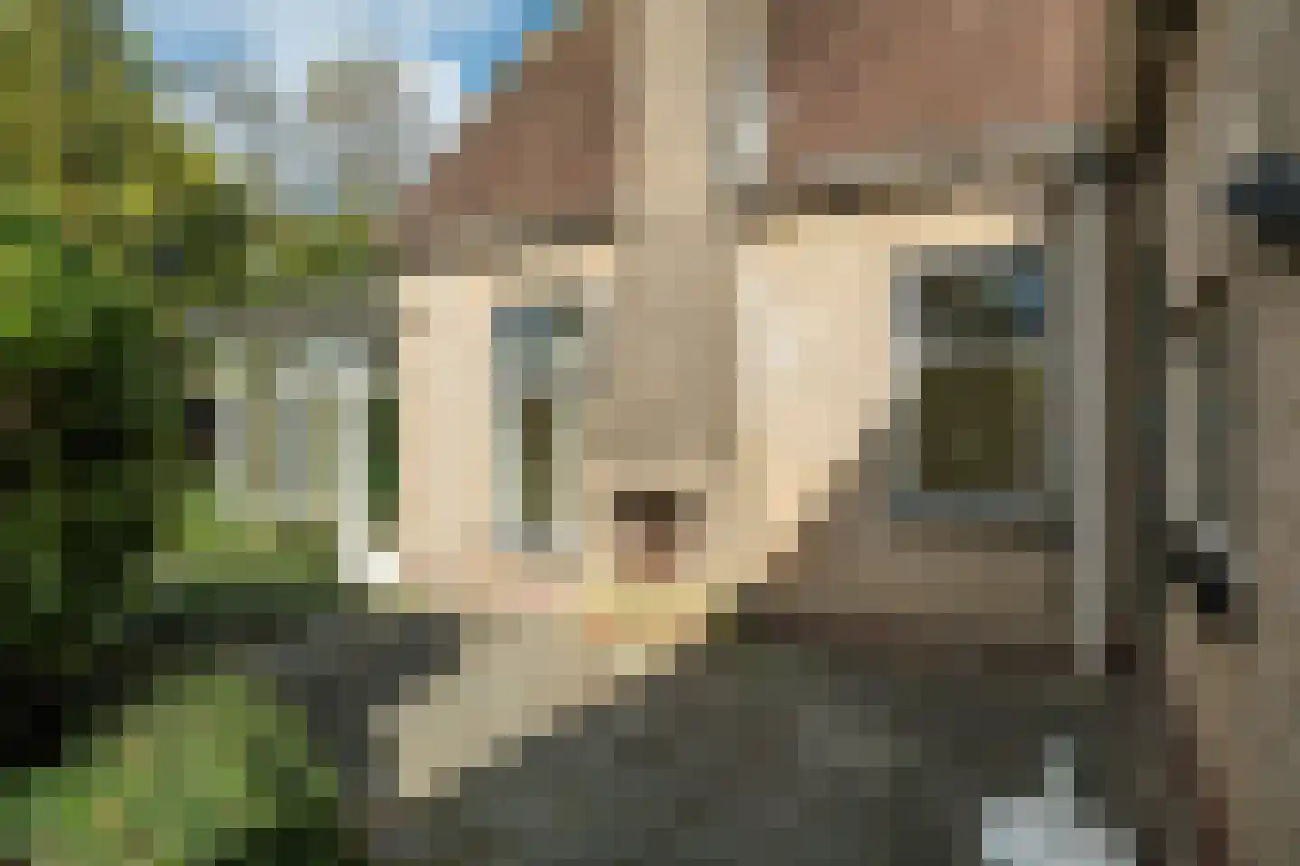 It Achterbosk 2 Stiens thumbnail 36
