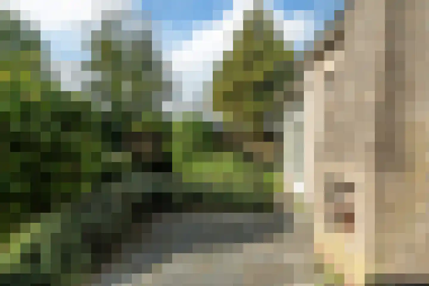 It Achterbosk 2 Stiens thumbnail 37
