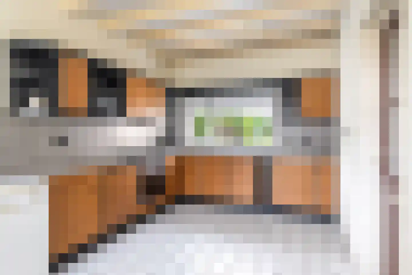It Achterbosk 2 Stiens thumbnail 4