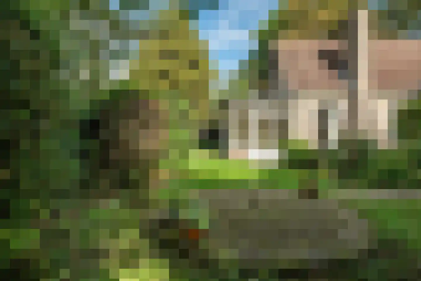 It Achterbosk 2 Stiens thumbnail 42